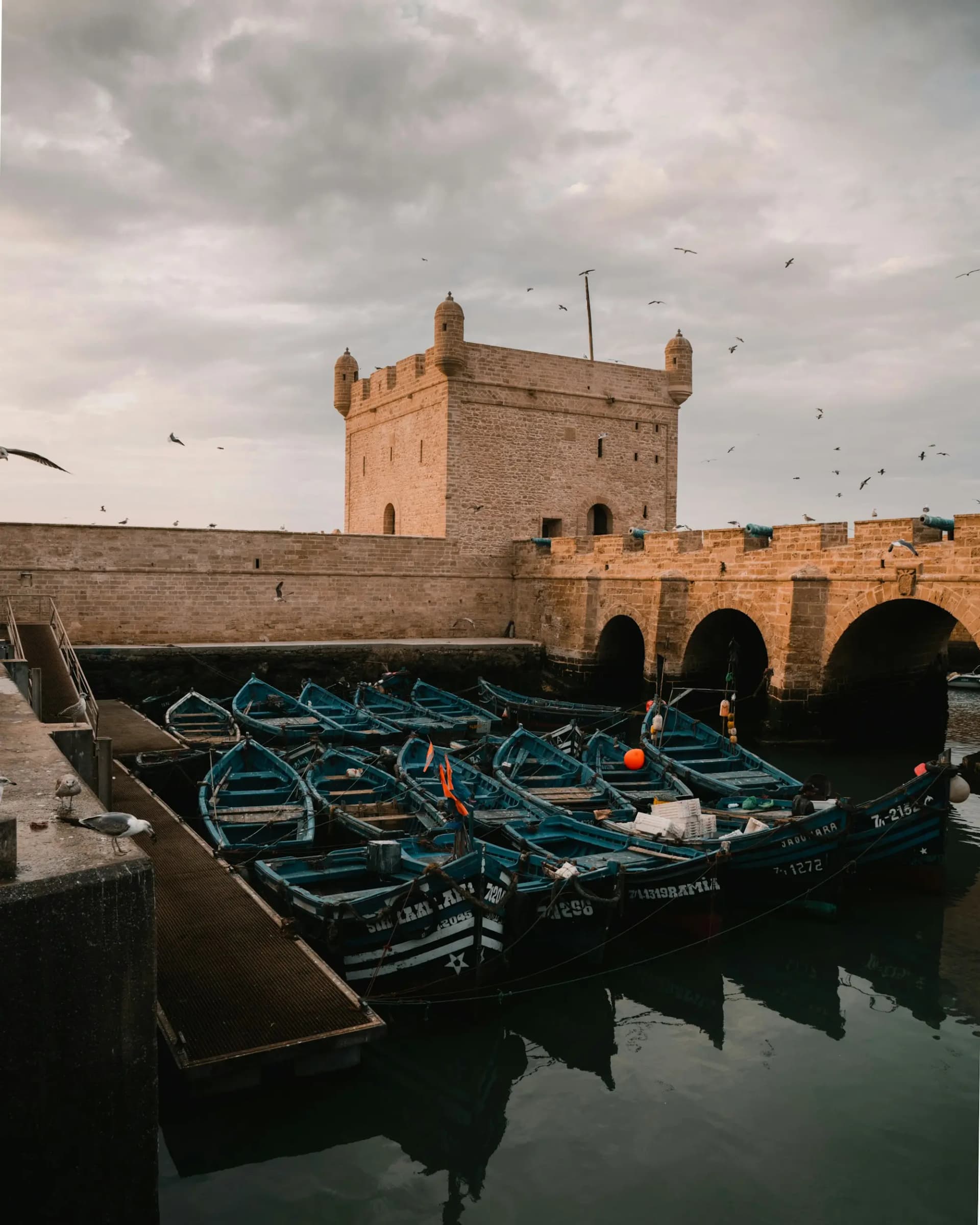 Blue fishing boats moored below the stone bastion of Essaouira's port